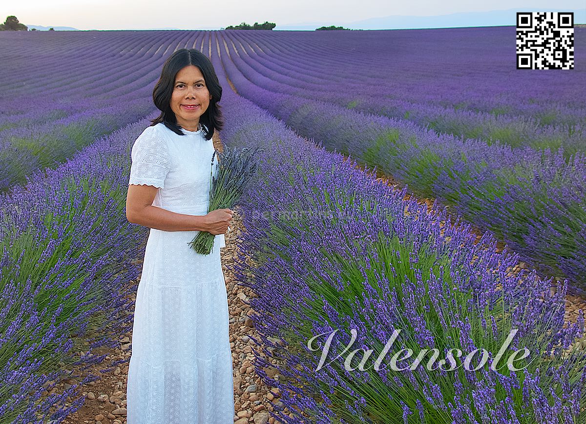 France Provence Valensole woman with white dress in lavender field with long rows